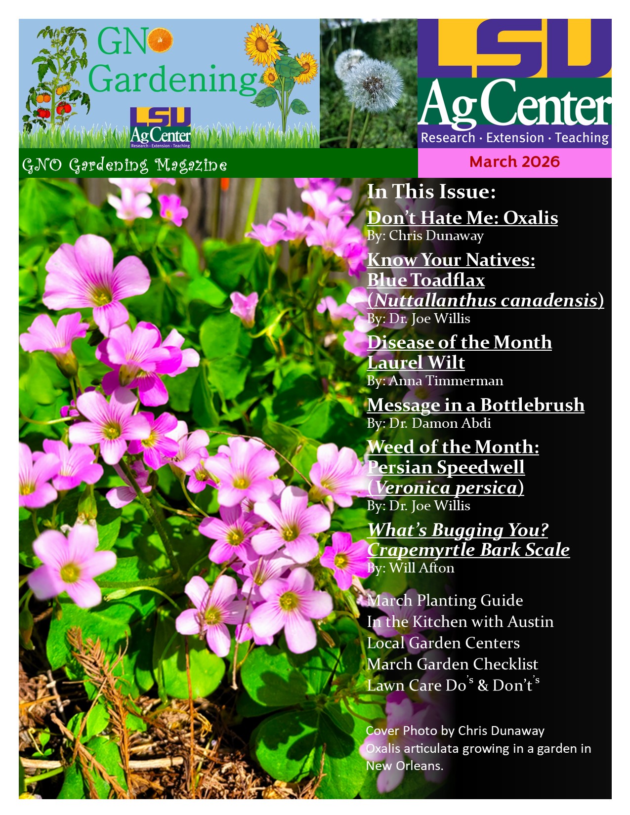 March 2026 cover.jpg thumbnail